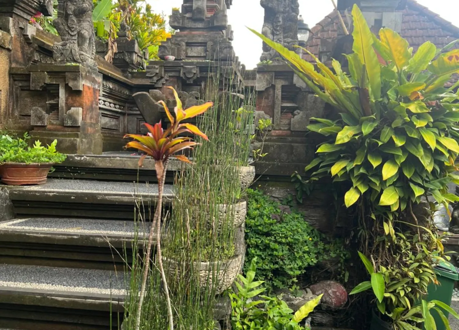 Rumah Kelinci Ubud