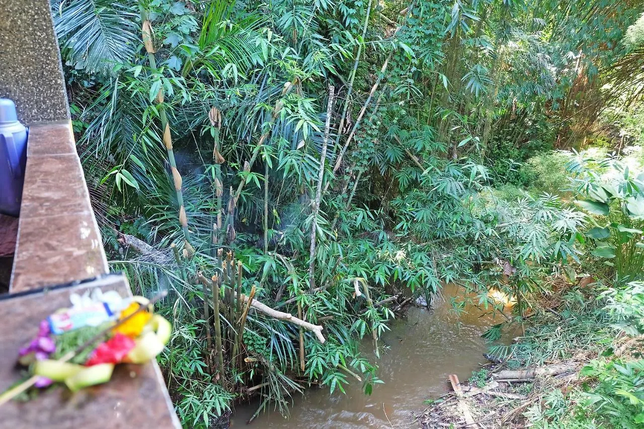 Rumah Kelinci Ubud  Ubud (Bali)