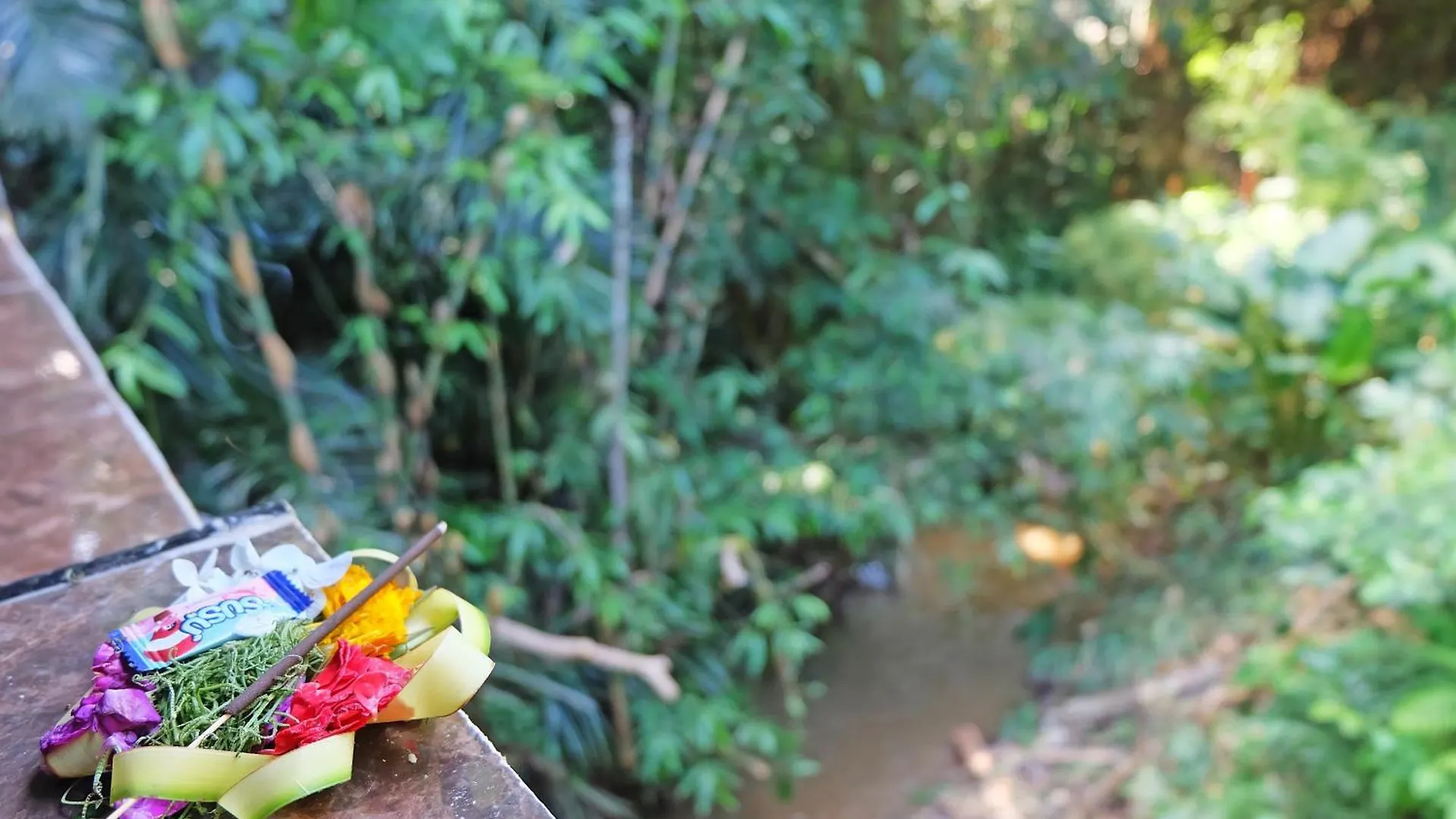 Villa Rumah Kelinci Ubud  Indonesia